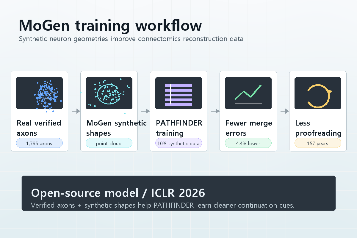 Google MoGen synthetic neurons workflow